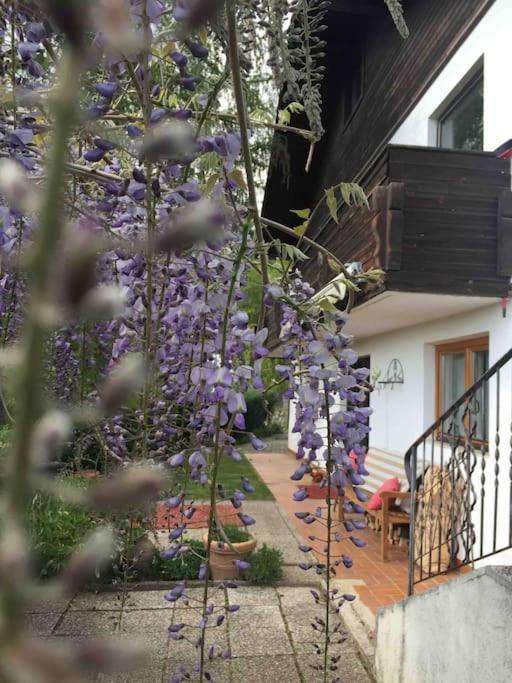 Charmantes Landhaus Mit Garten Und Traumhaftem Fernblick Thal (Turnau) Exterior foto