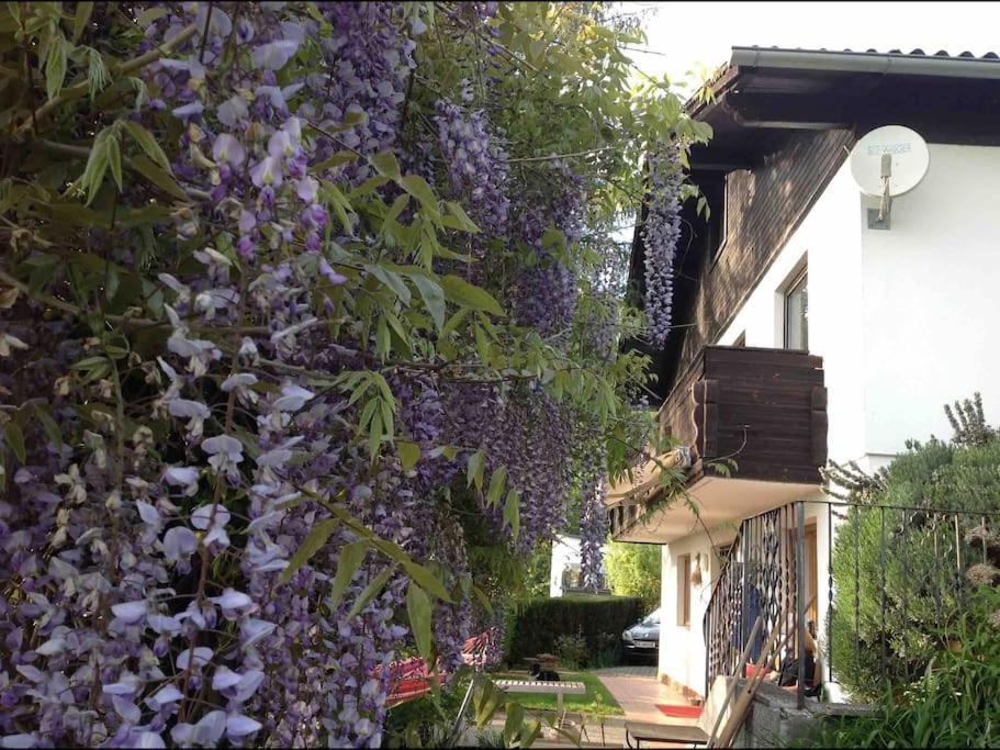 Charmantes Landhaus Mit Garten Und Traumhaftem Fernblick Thal (Turnau) Exterior foto