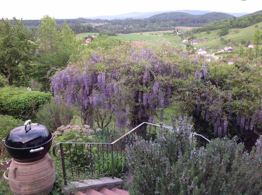 Charmantes Landhaus Mit Garten Und Traumhaftem Fernblick Thal (Turnau) Exterior foto